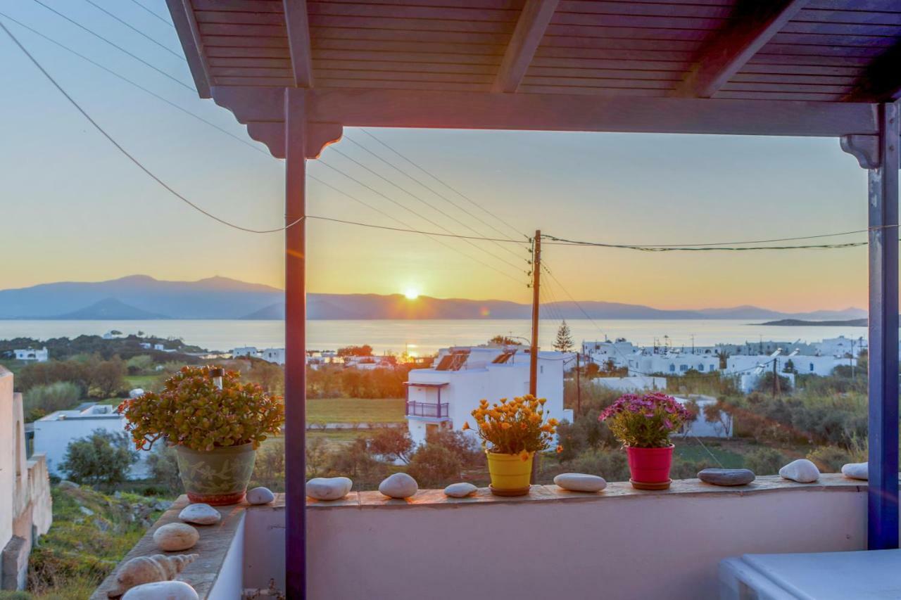 Nicki'S House Appartement Agia Anna  Buitenkant foto